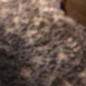 Meet your Posher, Noel